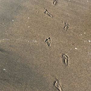 Meet your Posher, Candice